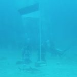 Jababeka Morotai – Lanal Morotai Raises Flag Under the Sea With Tame Sharks