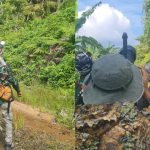 See Rare Birds Up Close in Morotai