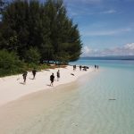 6 Fun Activities to Do in Morotai SEZ, Can Swim with Sharks